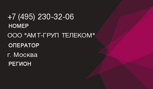 4952303206